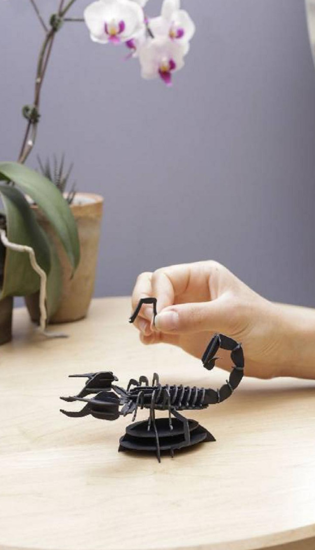 3D PUZZLE INSEKTI 3D PUZZLE INSEKTI