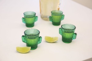 Čašice za žestinu- kaktusi